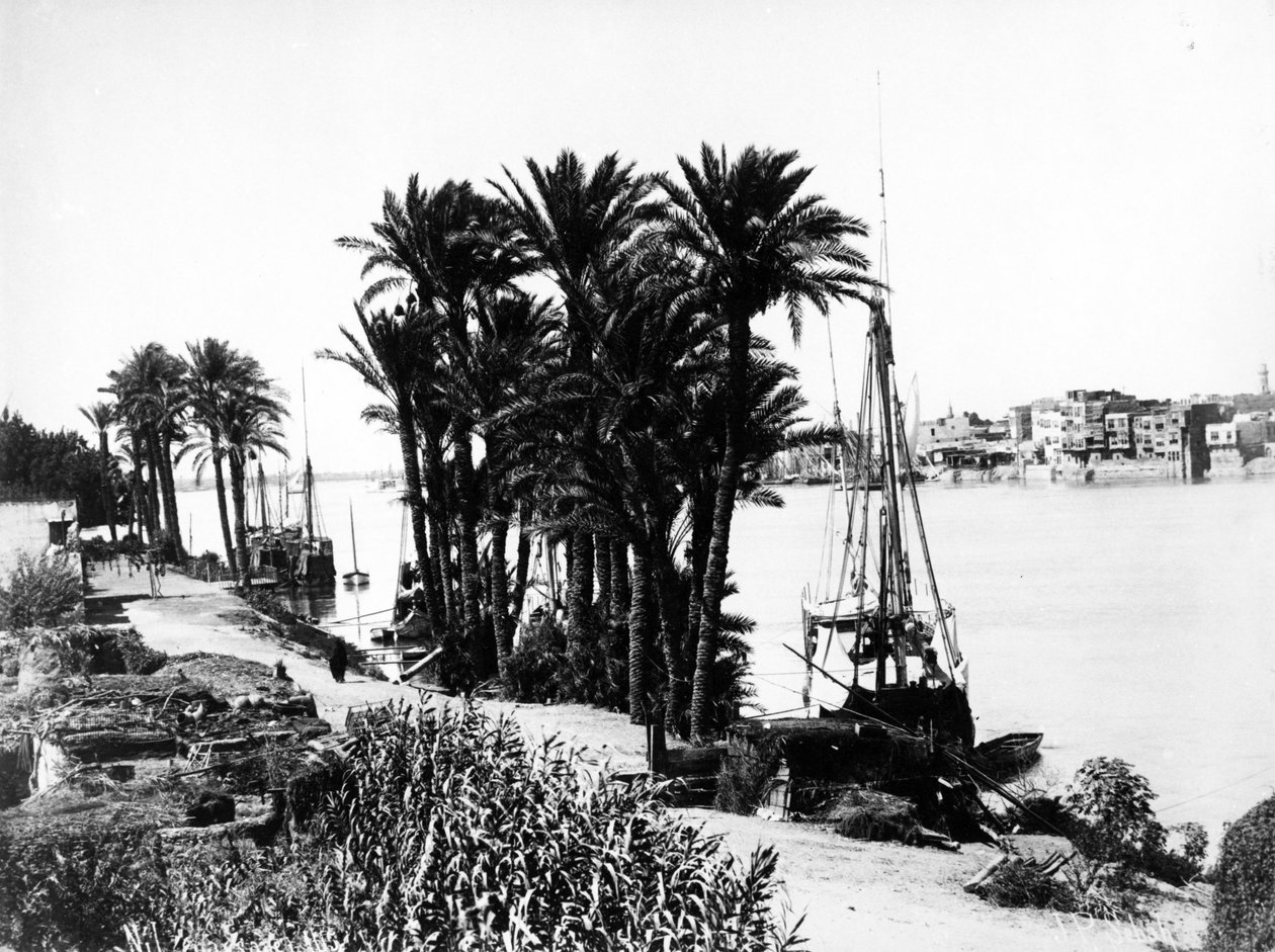 منظر النيل ، ج .1870 بواسطة جيه باسكال صباح