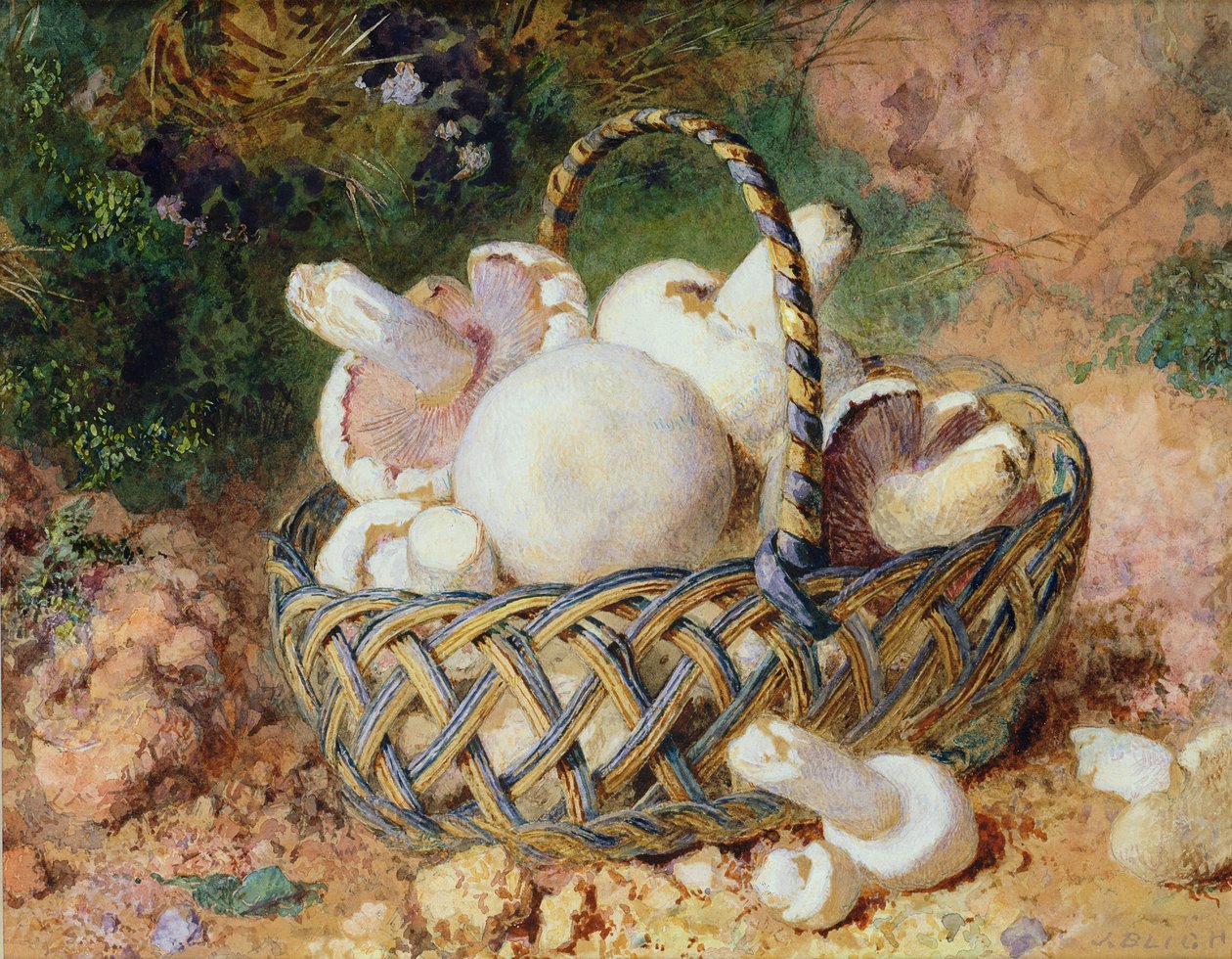 سلة من الفطر ، 1871 (انظر 215285 للزوج) بواسطة Jabez Bligh