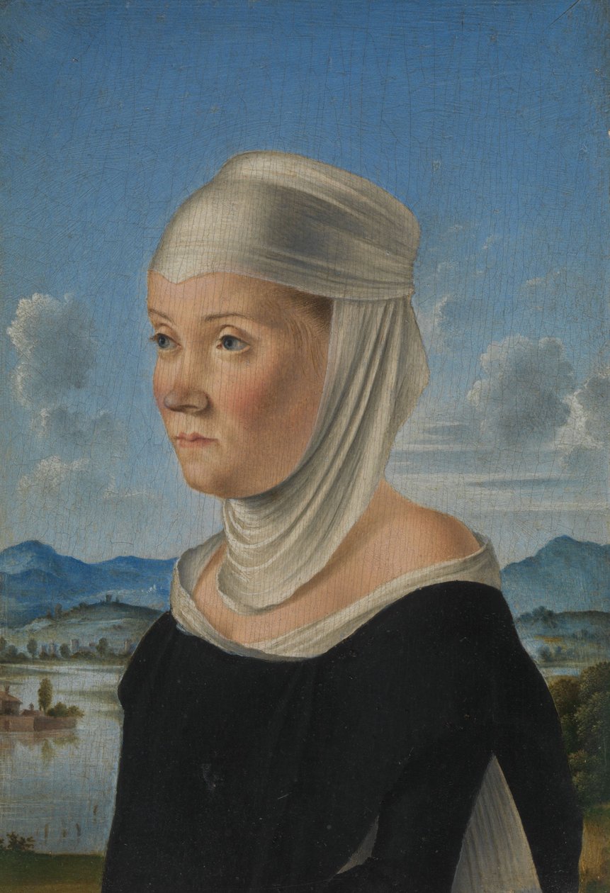 صورة لامرأة ، c.1485-95 بواسطة جاكوميتو فينيزيانو
