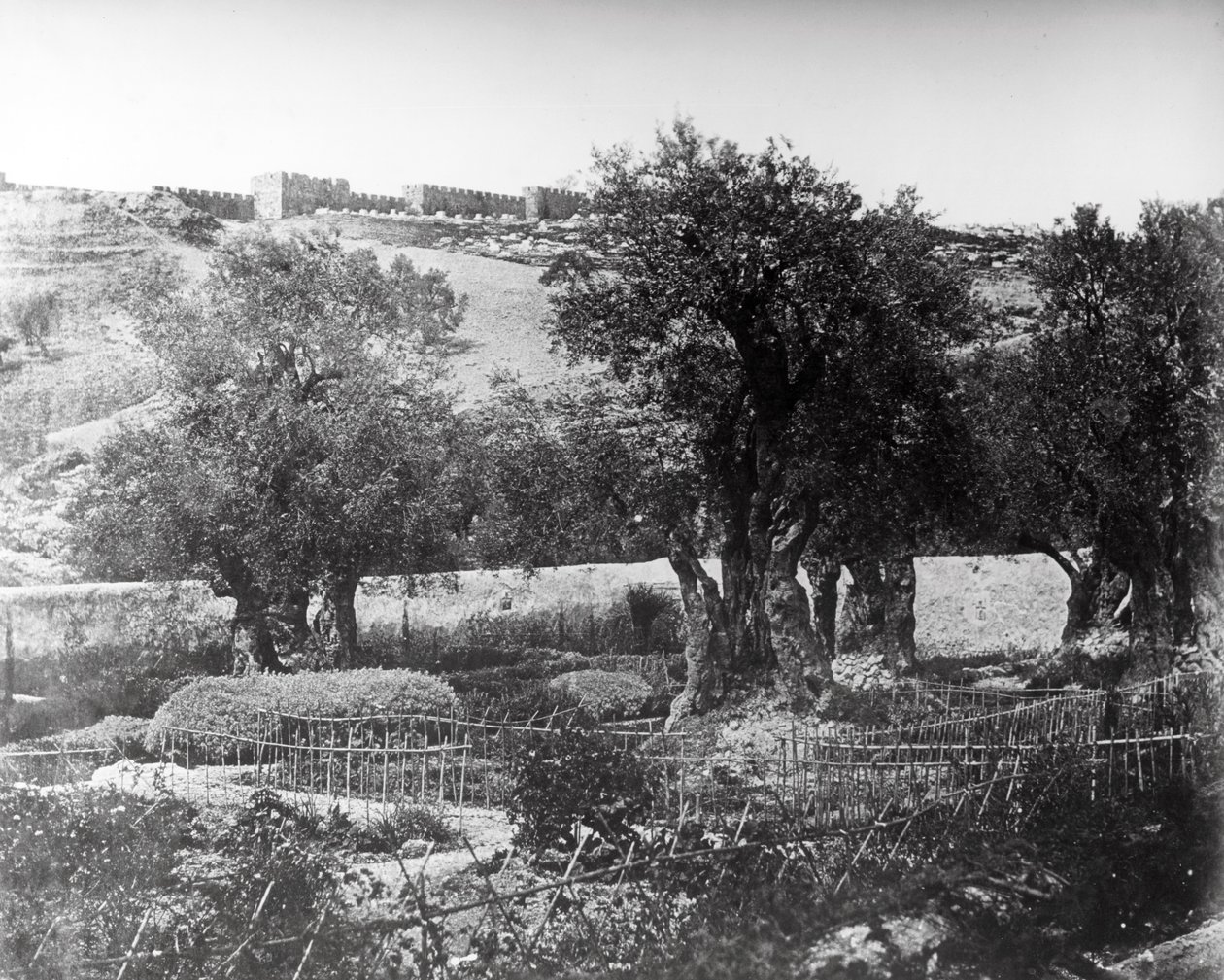 جثسيماني ، 1857 بواسطة فيليس بيتو
