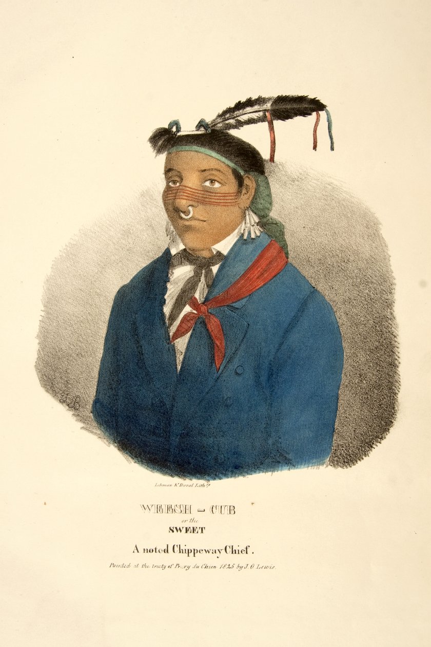Weesh-cub أو الحلو بواسطة جيمس أوتو لويس
