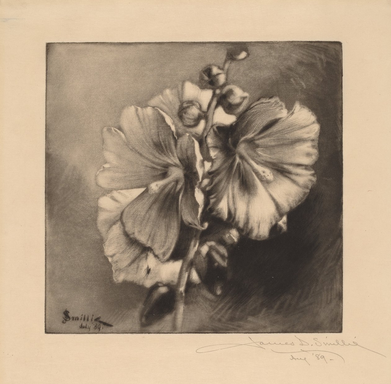 Hollyhocks واحد بواسطة جيمس ديفيد سميلي