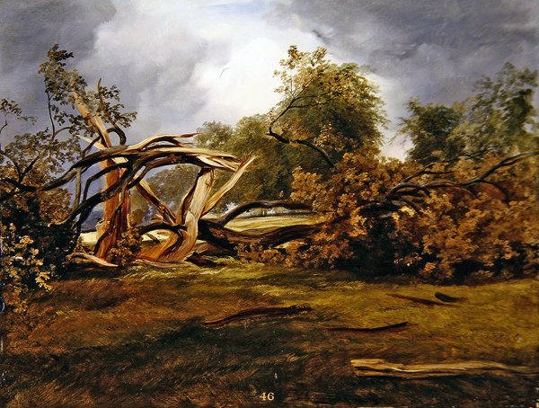 The Blasted Oak (زيت على ظهر السفينة) بواسطة جيمس جايلز