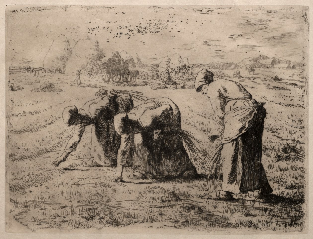 The Gleaners. بواسطة جان فرانسوا ميلت