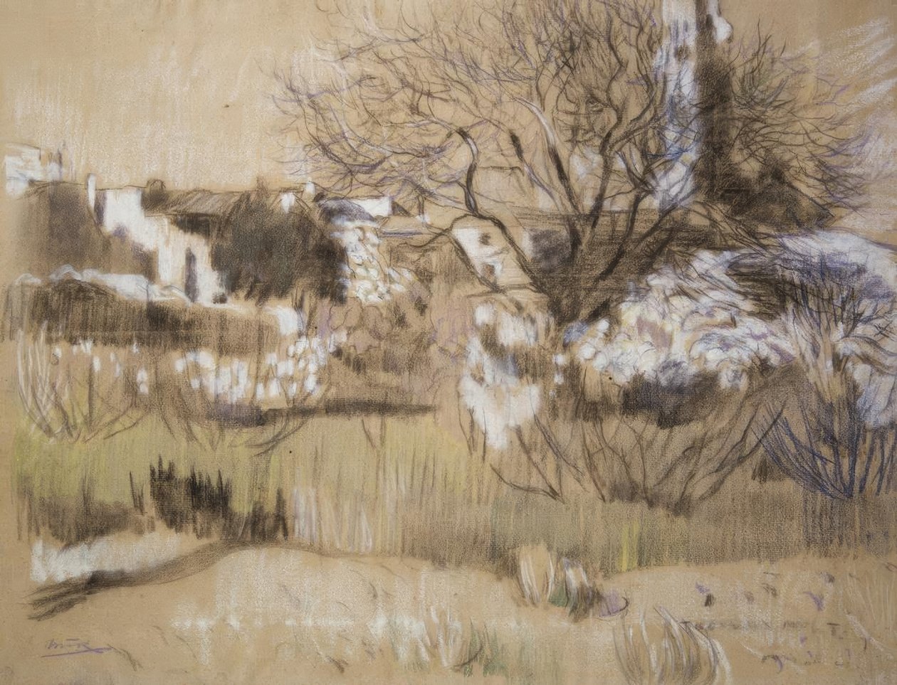 ماسبوجولس بواسطة Joaquim Mir i Trinxet