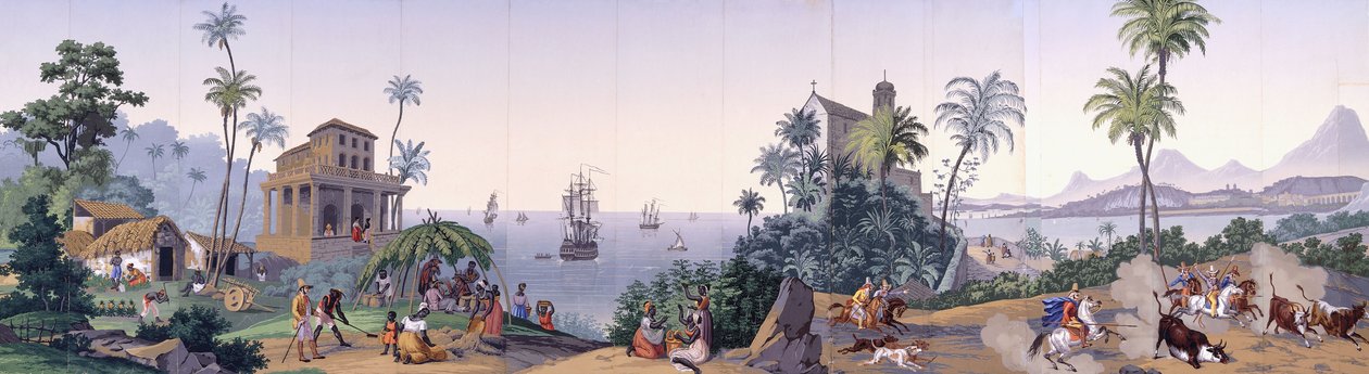 آراء البرازيل ، c.1829-1835 بواسطة يوهان موريتز روجينداس
