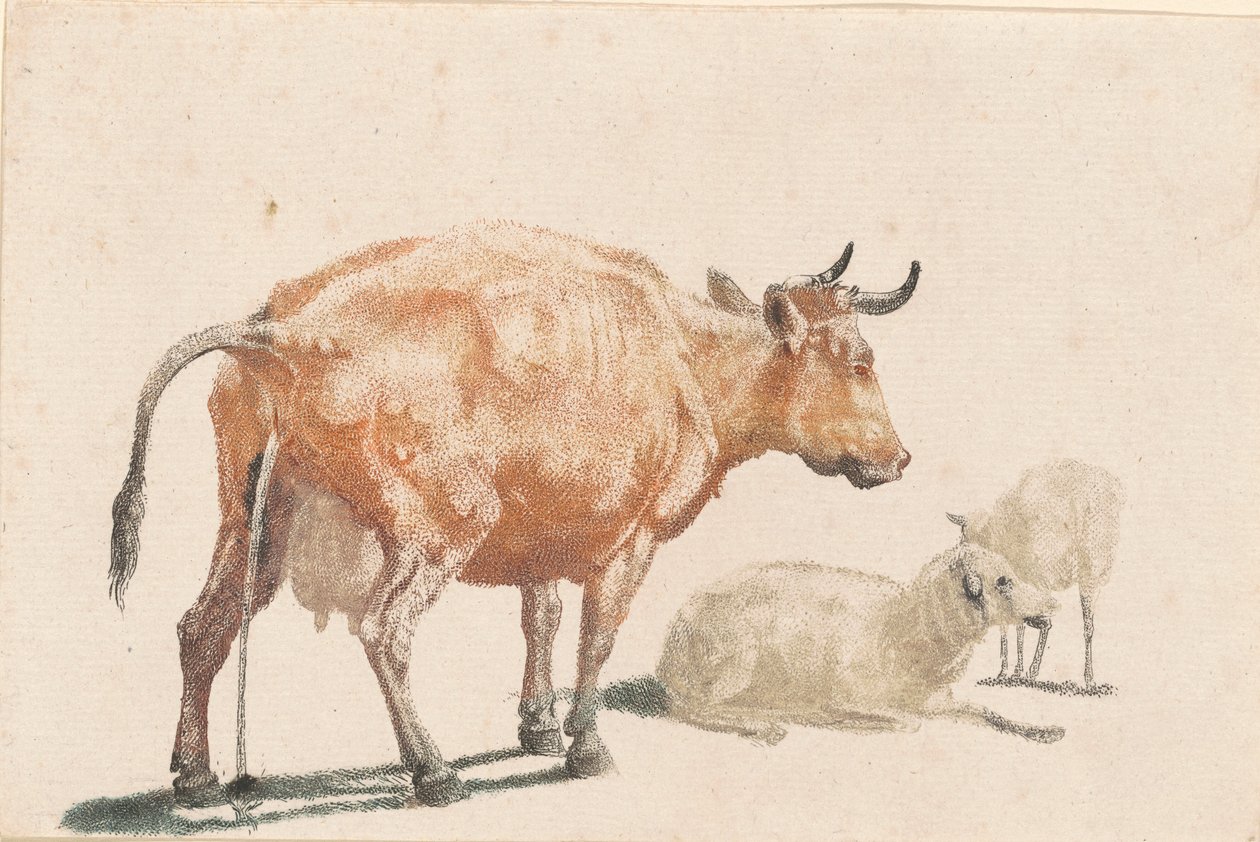 بقرة التبول ، 1690s. بواسطة يوهان تيلر