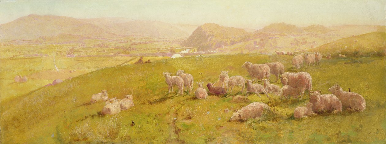 فالى تووي 1873 بواسطة جون صموئيل رافين