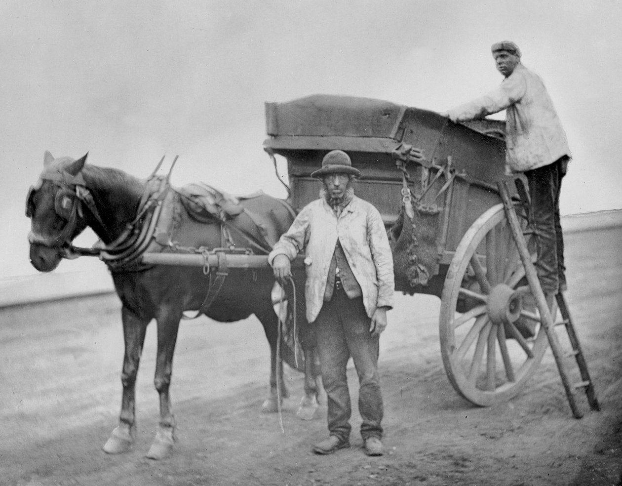Dustmen الطائر ، 1877 بواسطة جون طومسون