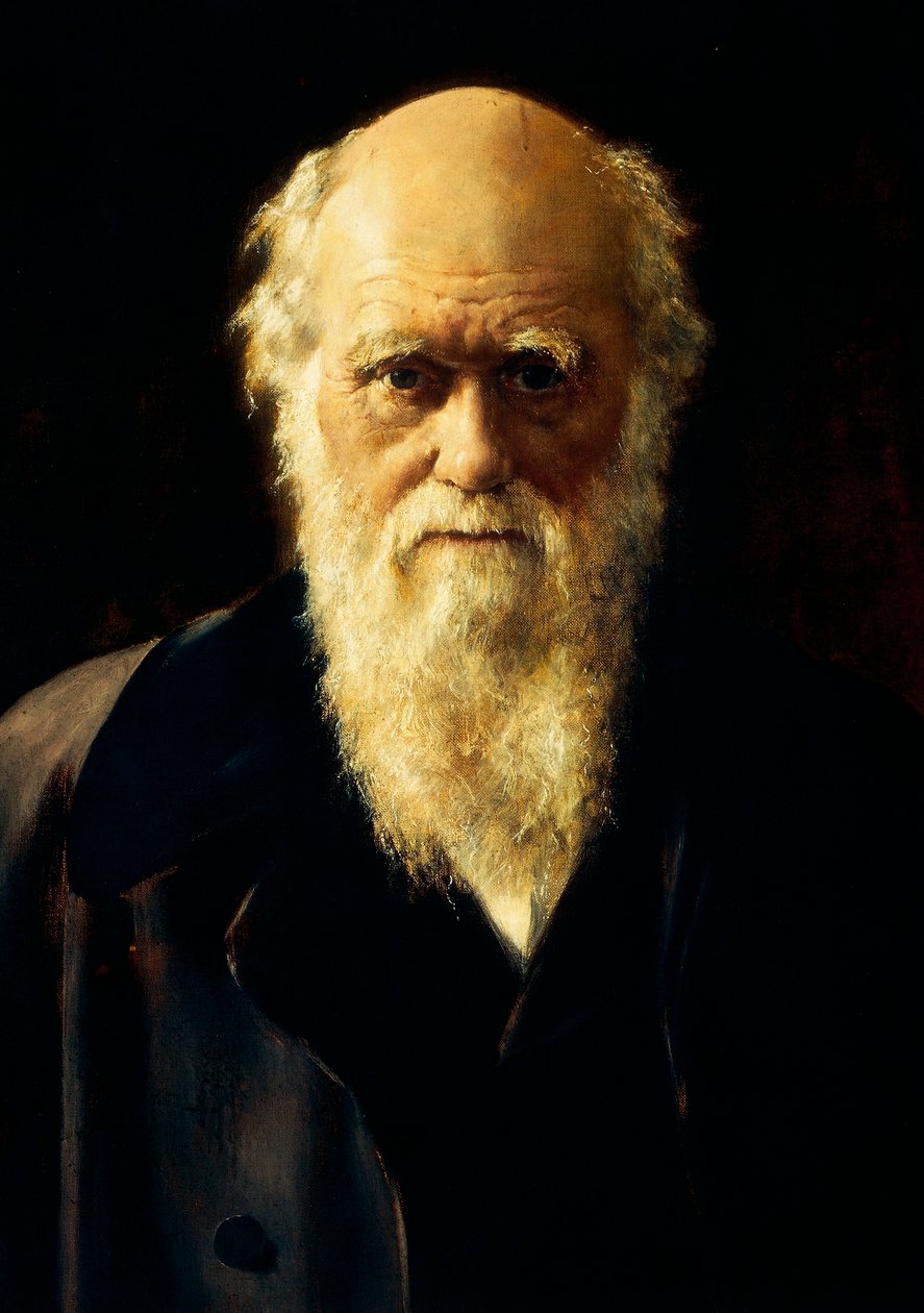 Portrait of Charles Darwin بواسطة جون كولير