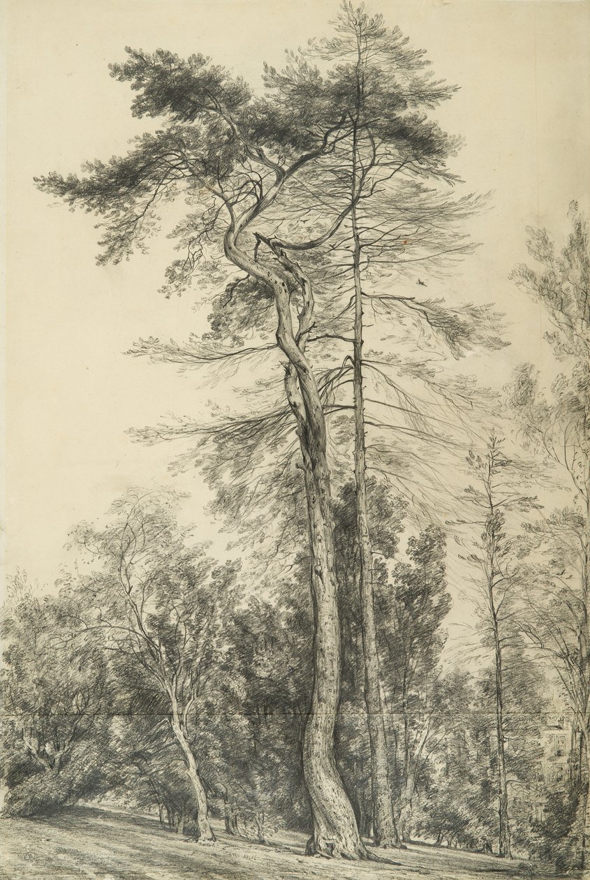 للأشجار ، c.1833 بواسطة جون كونستابل