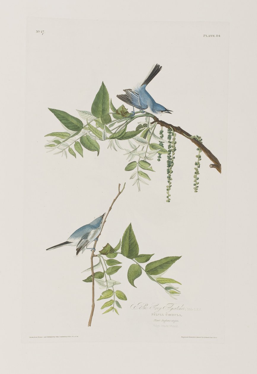Illustration from 