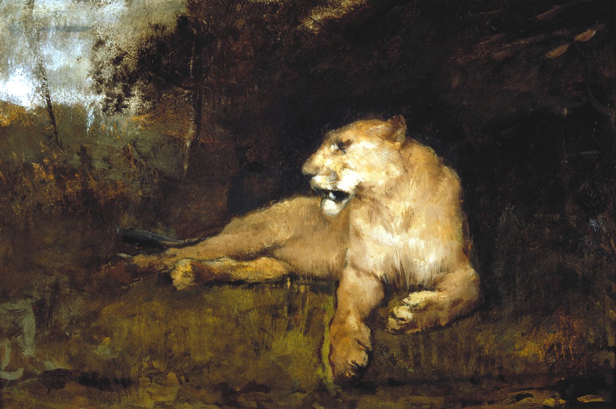 "لبؤة" ، 1867-1910 بواسطة جون ماكالان سوان