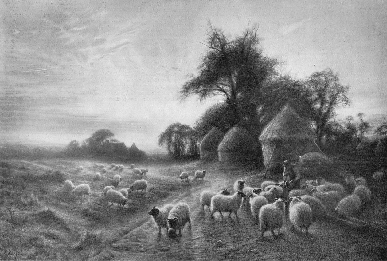 تغذية الأغنام ، c1890 ، 1911 بواسطة جوزيف فاركوهارسون
