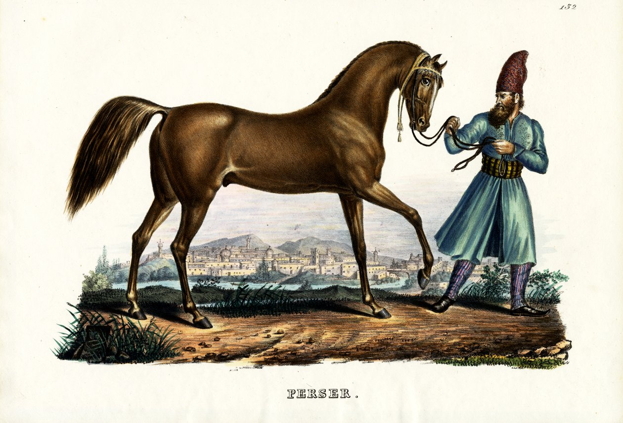 الحصان الفارسي ، 1824 بواسطة كارل جوزيف برودمان
