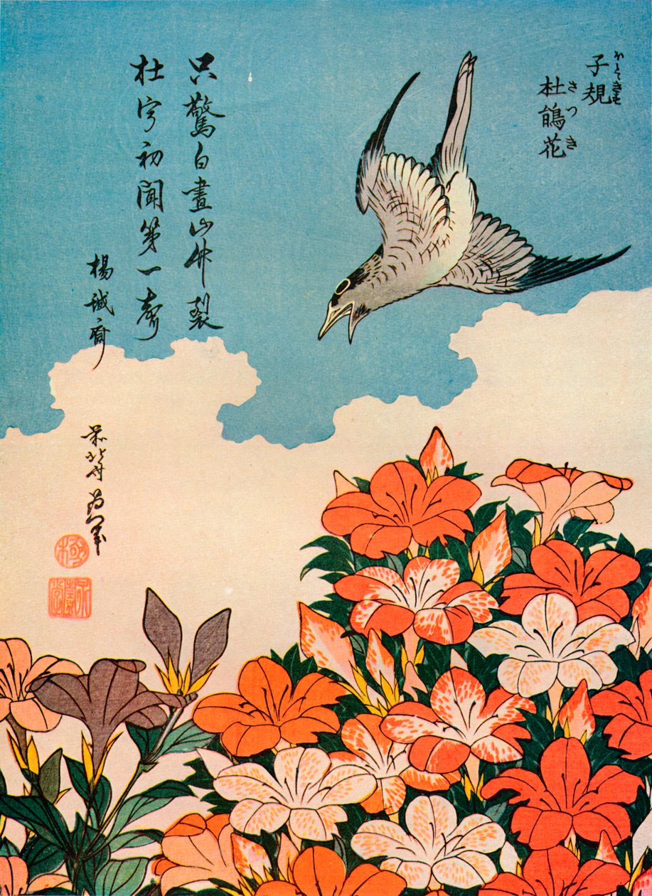 Hototogisu satsuki Cuckoo and Azalea، c1828، 1936 بواسطة كاتسوشيكا هوكوساي