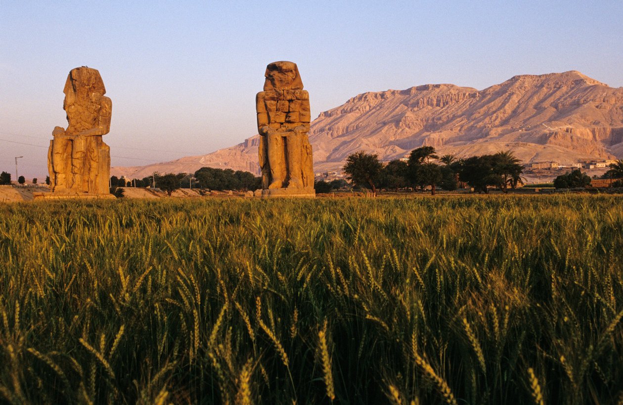  بواسطة كينيث جاريت