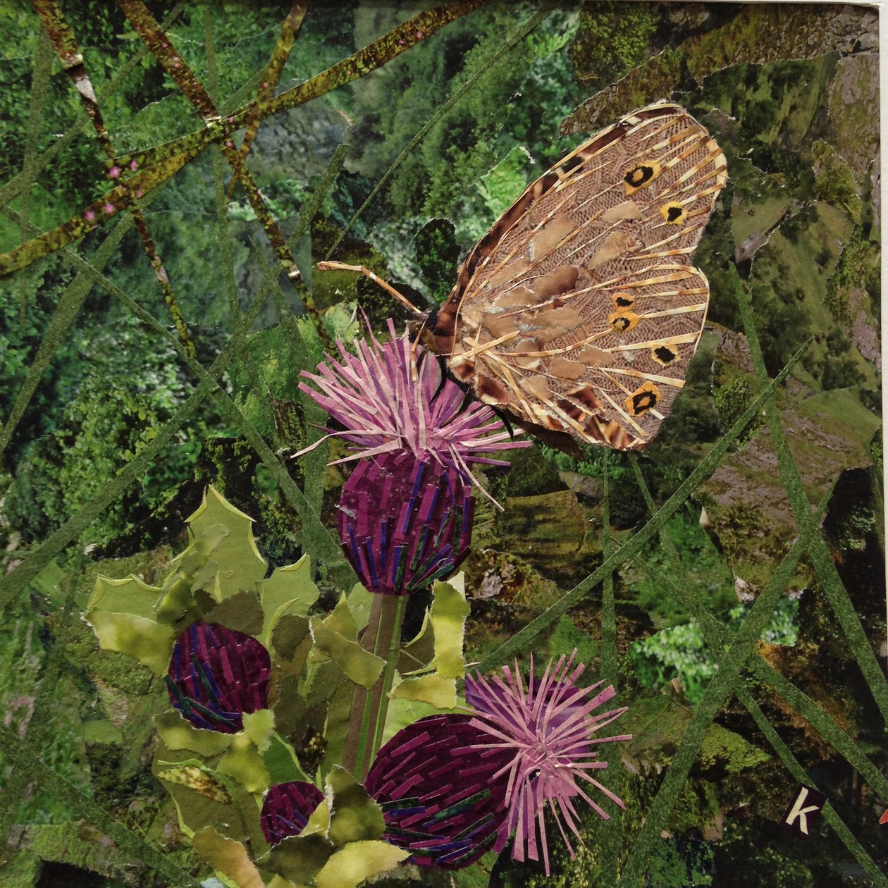 Flit - Satyr Butterfly على الشوك بواسطة كيرستي آدمسون