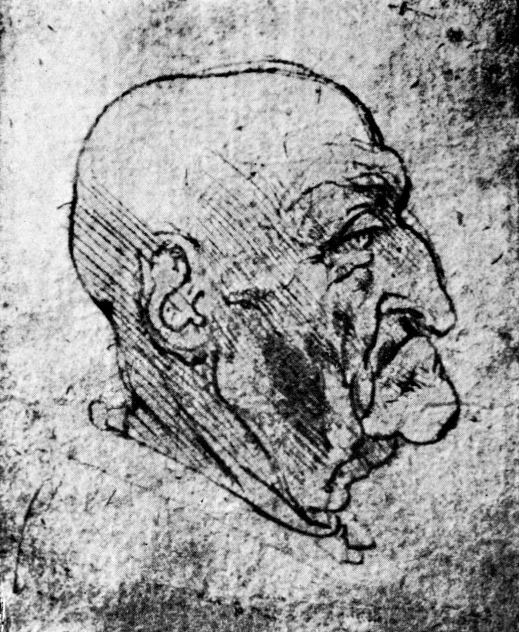 رأس رجل عجوز ، 1913 بواسطة ليوناردو دا فينشي