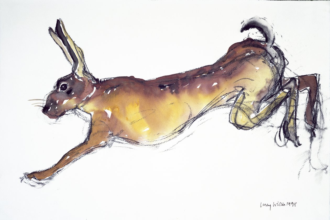 Jumping Hare (مرحاض وفحم على ورق) بواسطة لوسي ويليس
