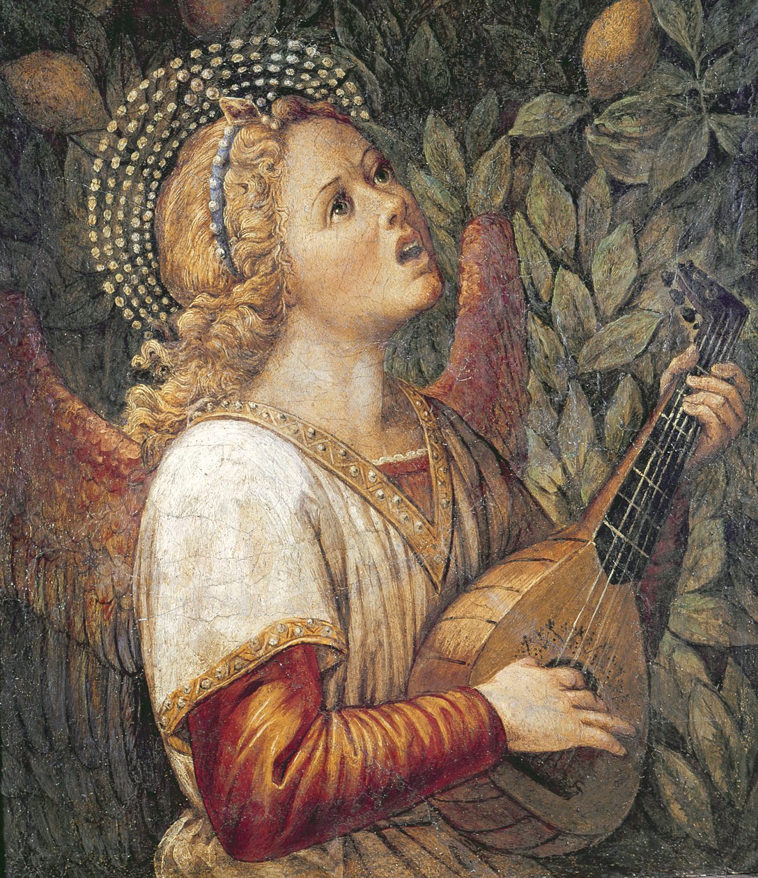 ملاك موسيقي بواسطة Melozzo da Forli