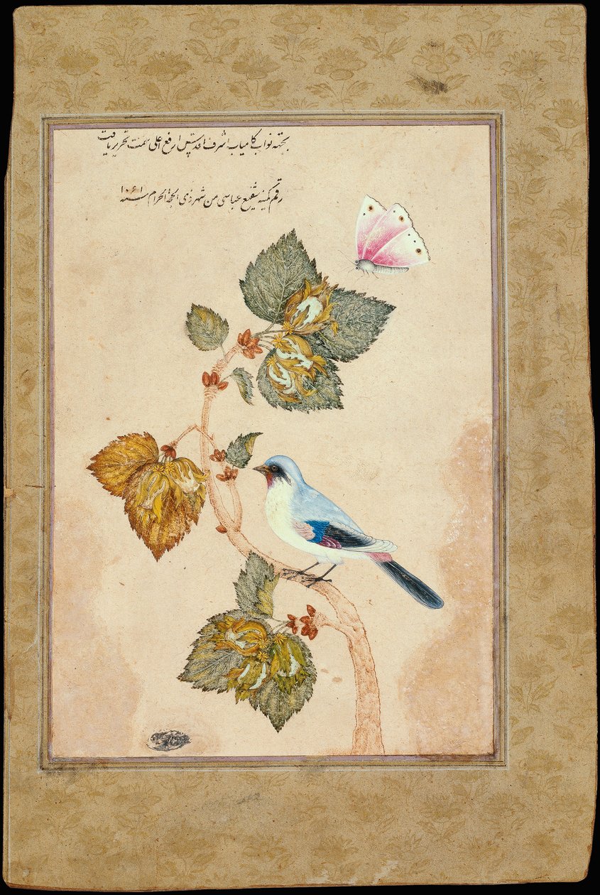 عصفور على غصن عسلي بواسطة محمد شافي عباسي