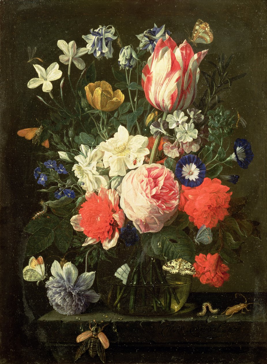 صورة غير معروفة بواسطة Nicolaes van Veerendael