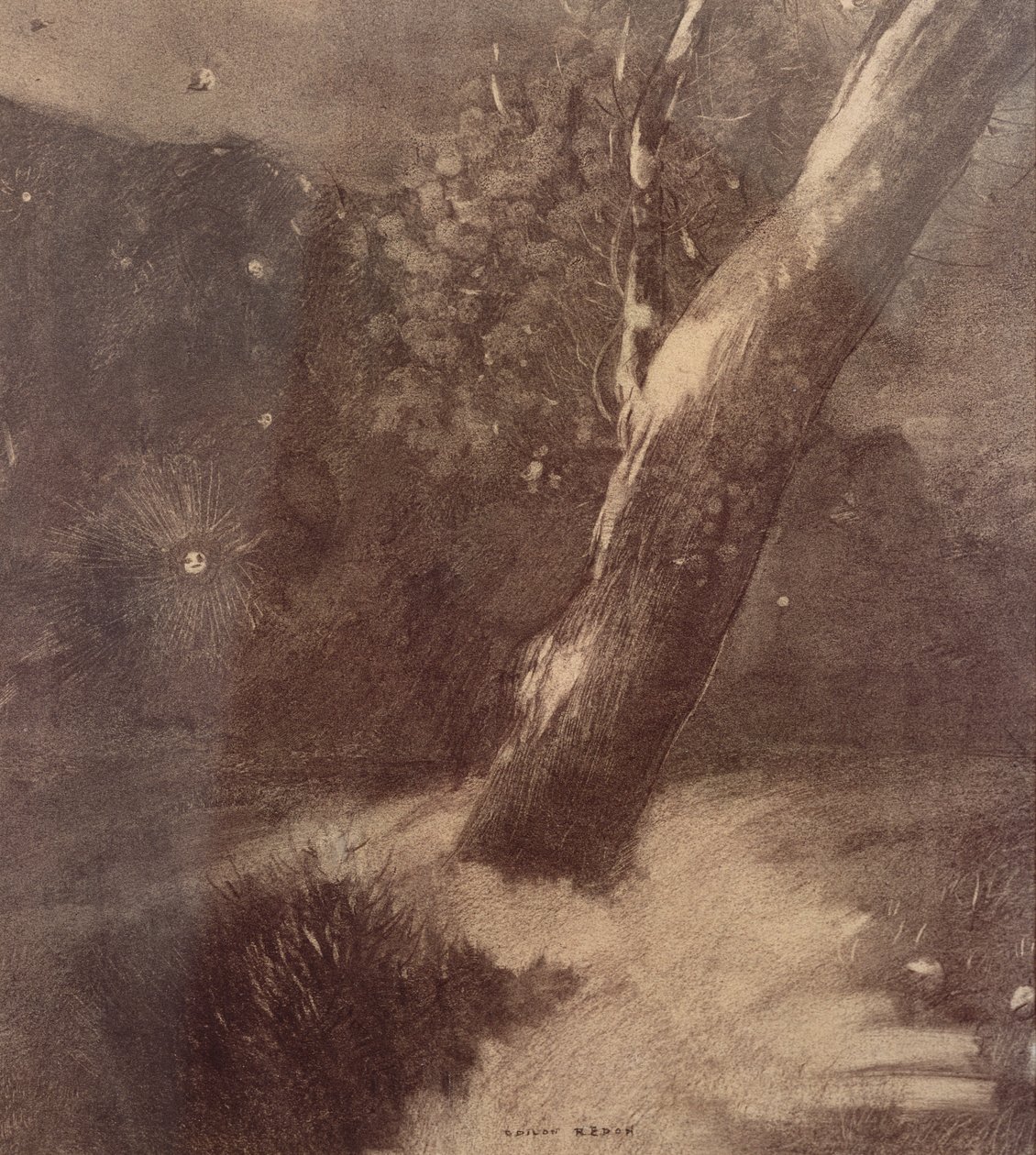 شجرة ونجوم (فحم) بواسطة Odilon Redon