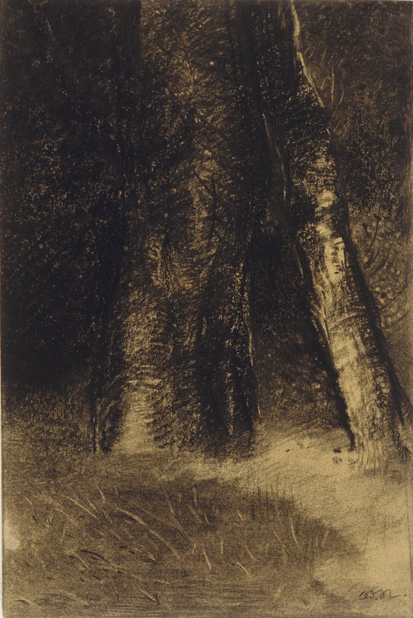  بواسطة Odilon Redon