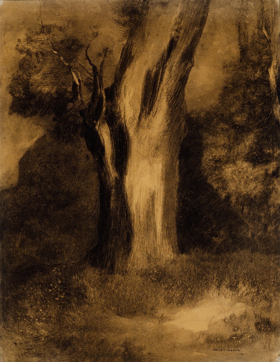  بواسطة Odilon Redon
