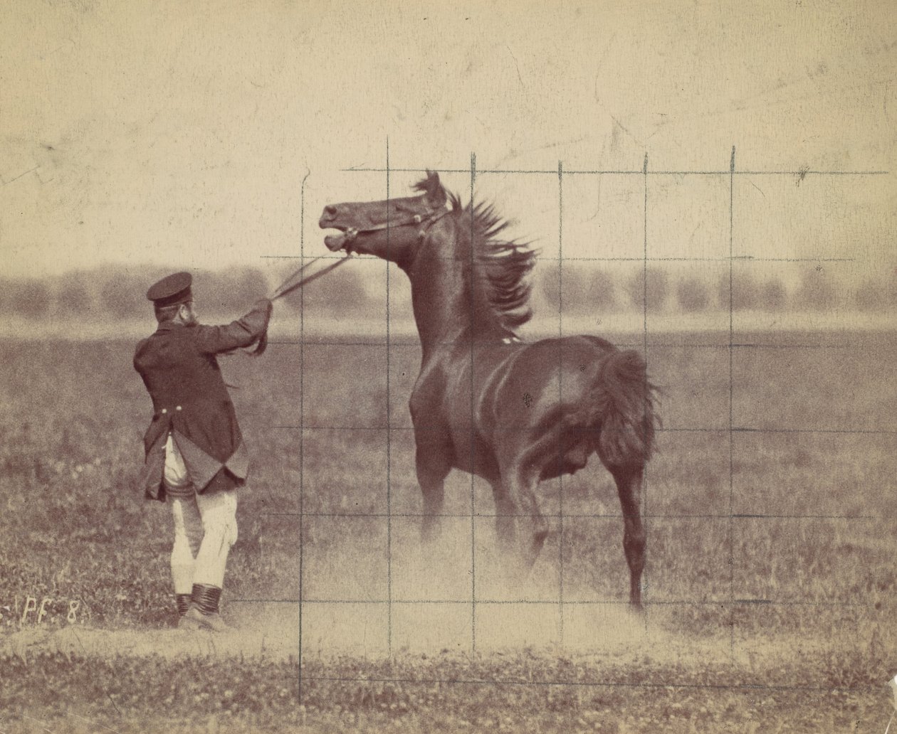 الحصان ، 1884. بواسطة Ottomar Anschütz