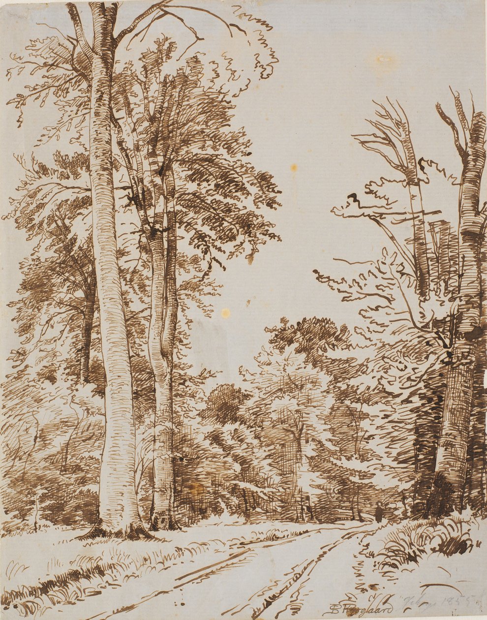 طريق الغابة. Iselinge بواسطة PC Skovgaard