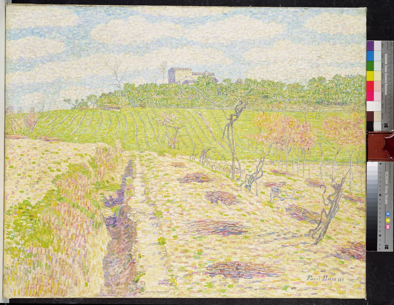 A Tuscan Vineyard بواسطة بول بوم