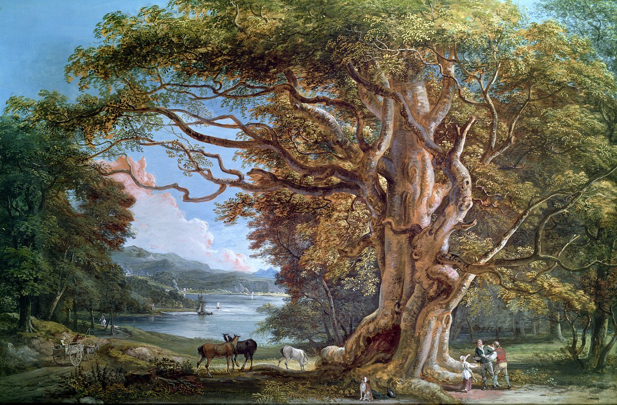 شجرة زان قديمة ، 1794 بواسطة بول ساندبي