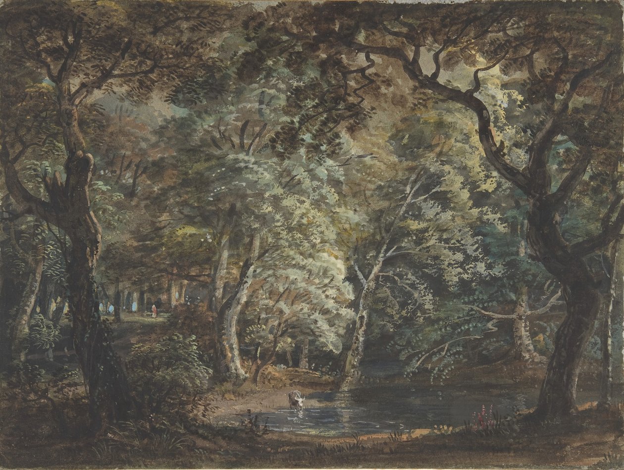 وندسور جريت بارك ، 1790-99. بواسطة بول ساندبي