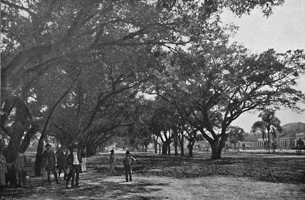 Avenida de Tiradentes ، 1895 بواسطة باولو كوالسكي