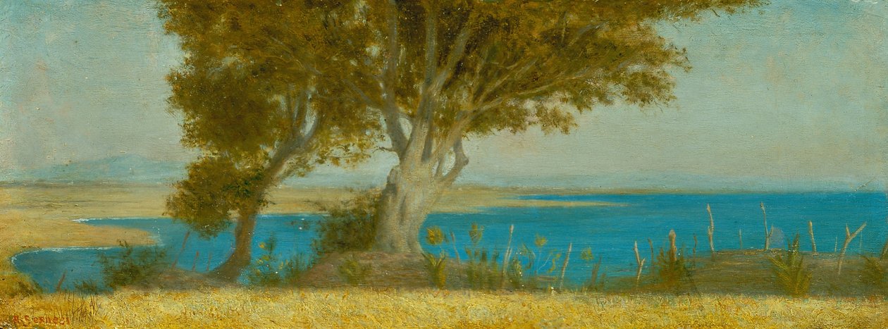  بواسطة Raffaello Sernesi