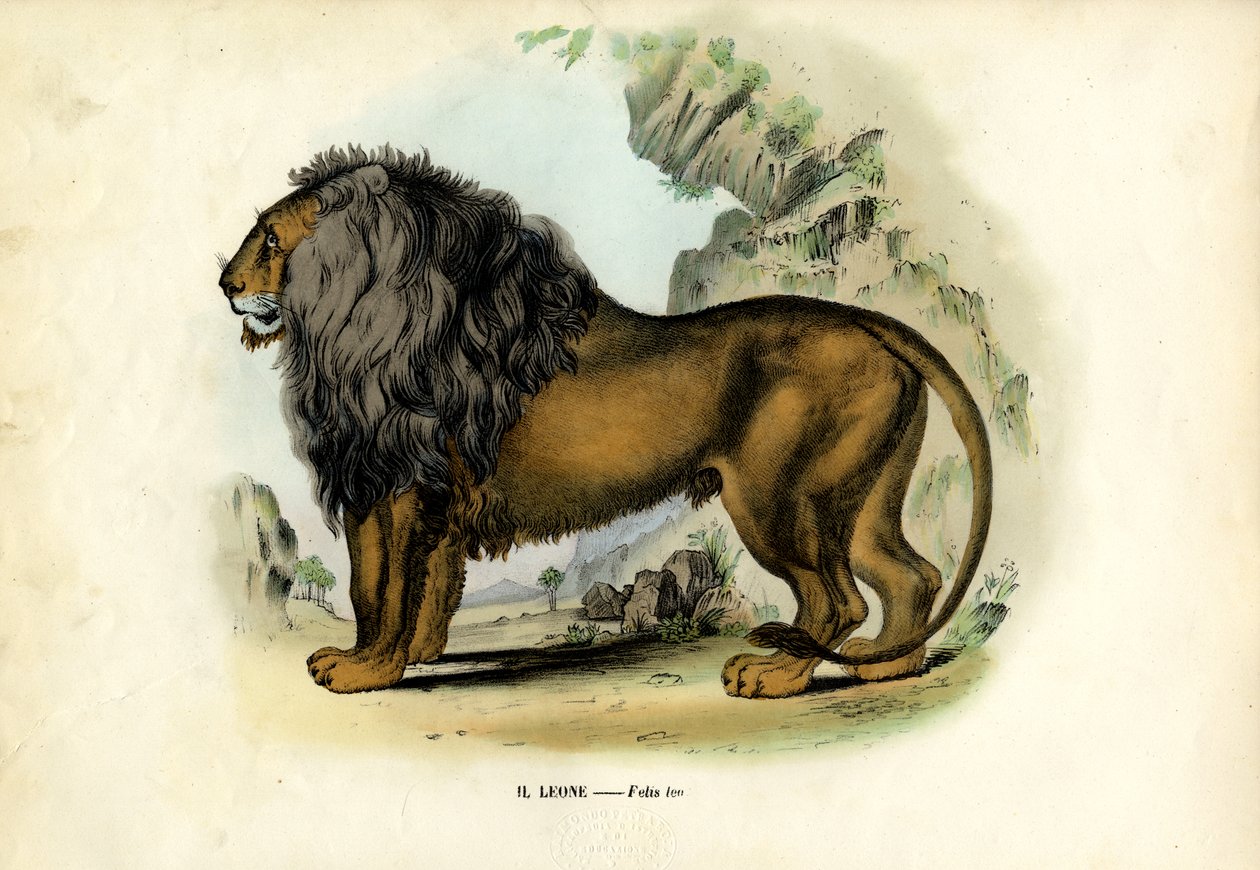 الأسد ، 1863-1879 بواسطة رايموندو بيترارويا