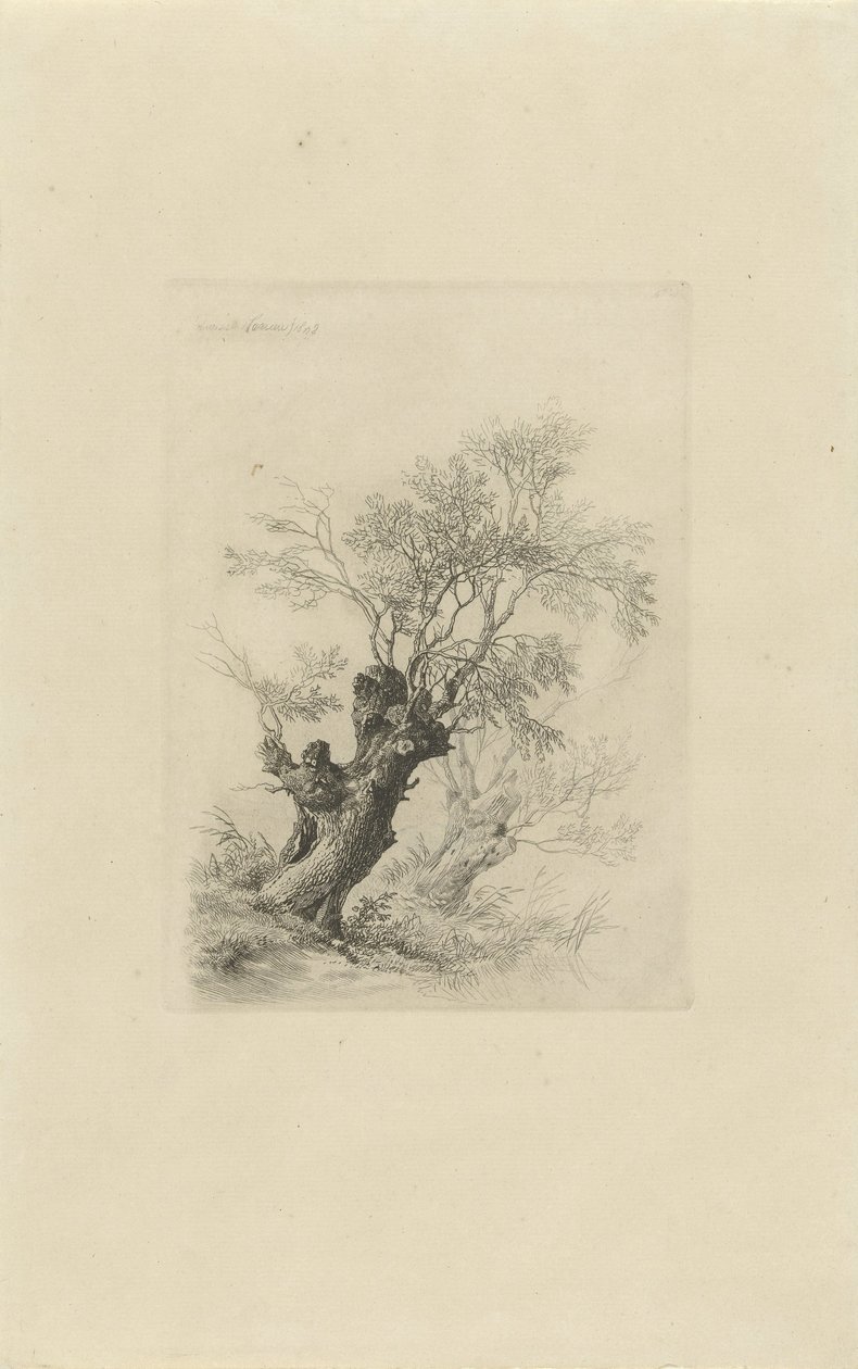 شجرة الصفصاف بواسطة Remigius Adrianus Haanen