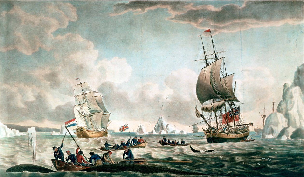 The West West أو Davis&39;s Streights Whale Fishery ، نشره John und Josiah Boydell ، 1789 (ألوان مائية) بواسطة روبرت دود