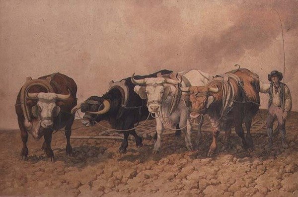 مروع بواسطة روبرت هيلز