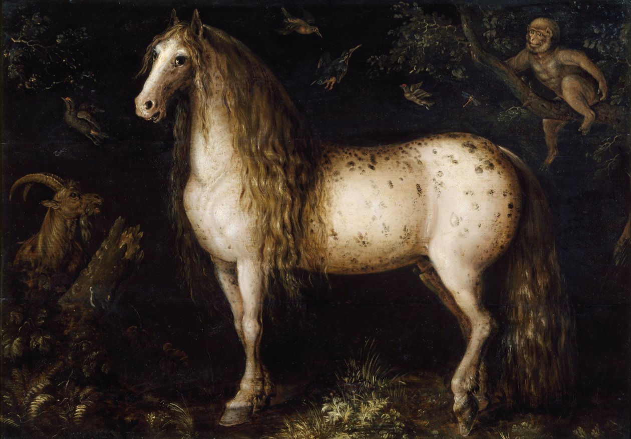 الرمادي الداكن بواسطة Roelant Saverij