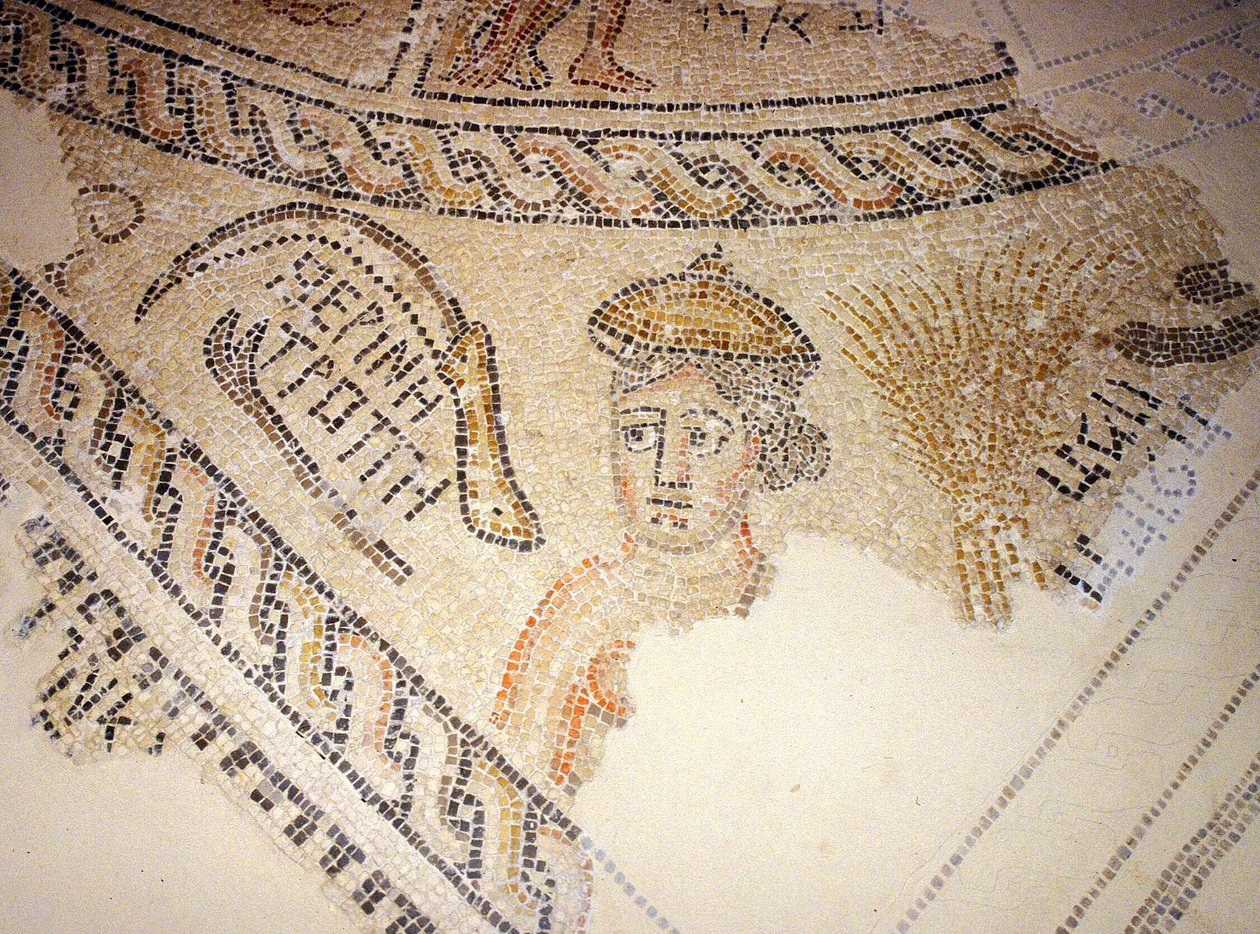 فسيفساء Sepphoris ، Tzippori (فسيفساء) بواسطة رواية