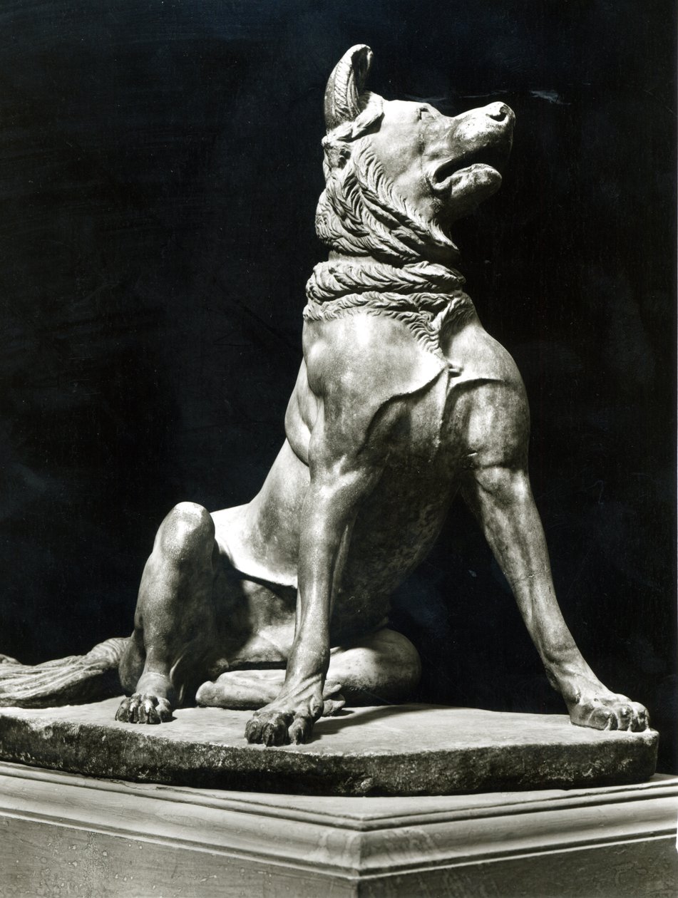 Bullmastiff Dog (رخام) بواسطة رومان رومان