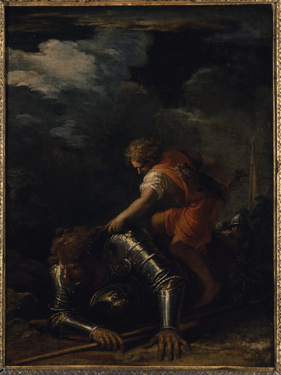 David and Goliath (oil on canvas) بواسطة سلفاتور روزا