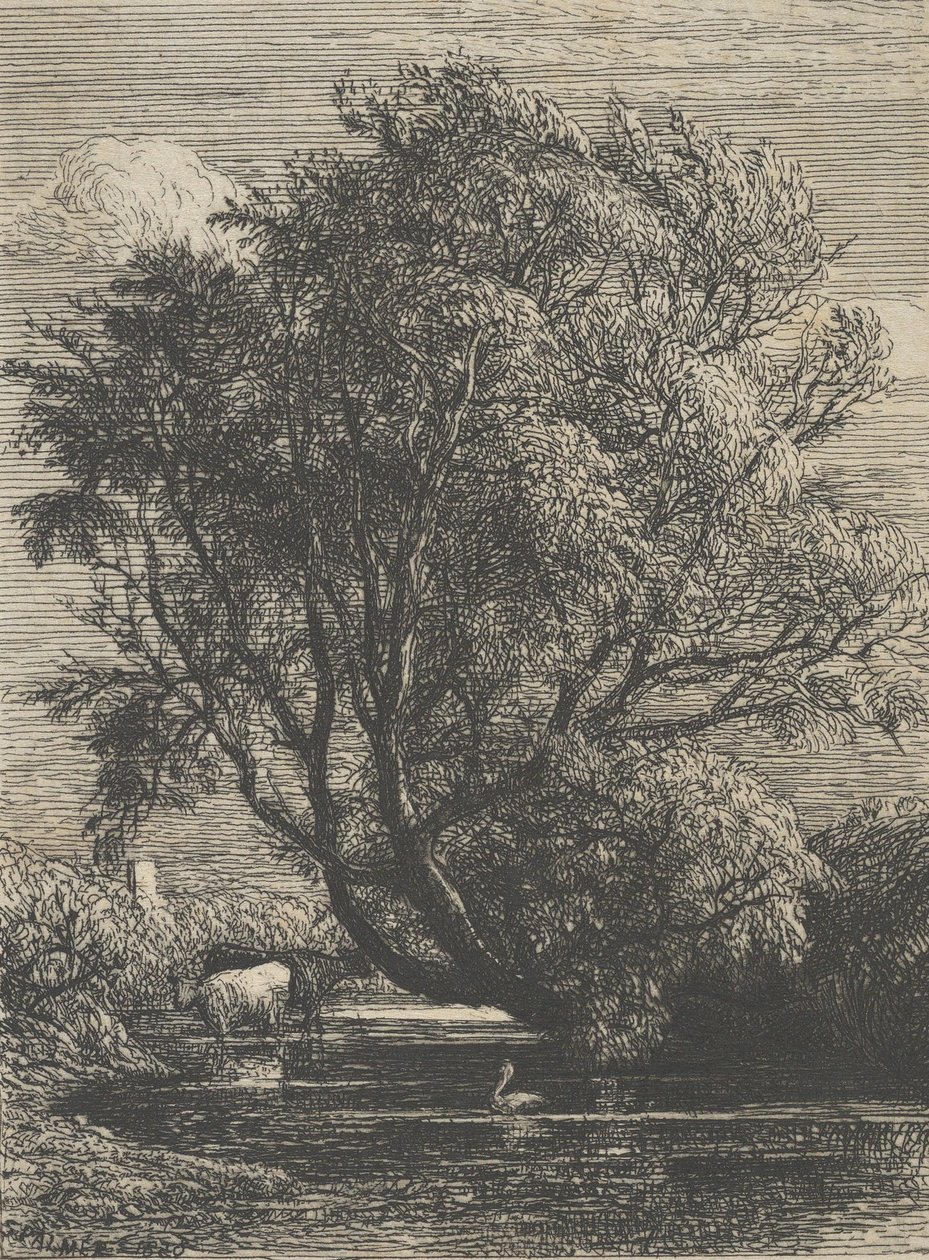 الصفصاف 1850. بواسطة صموئيل بالمر