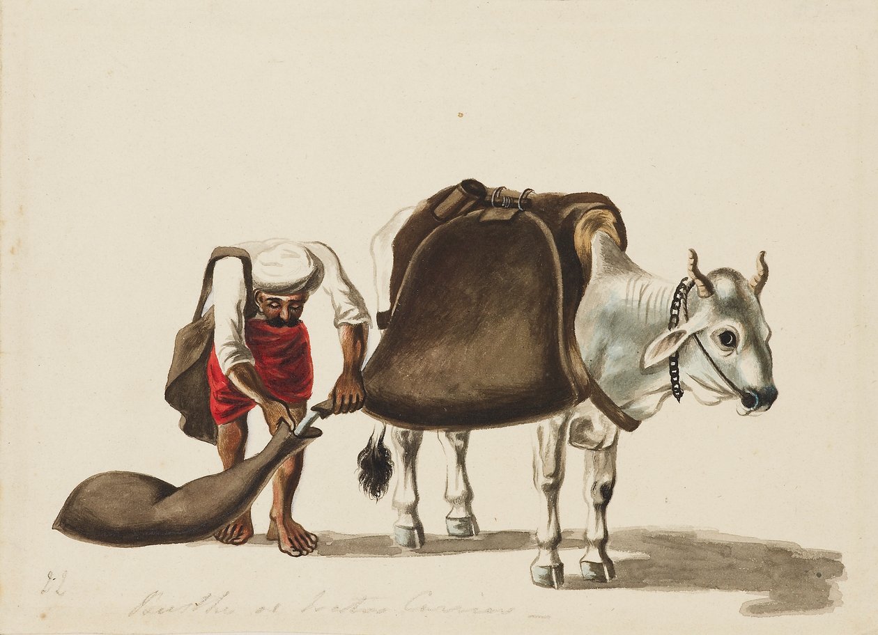 ناقل المياه ، c1810 بواسطة سيواك رام