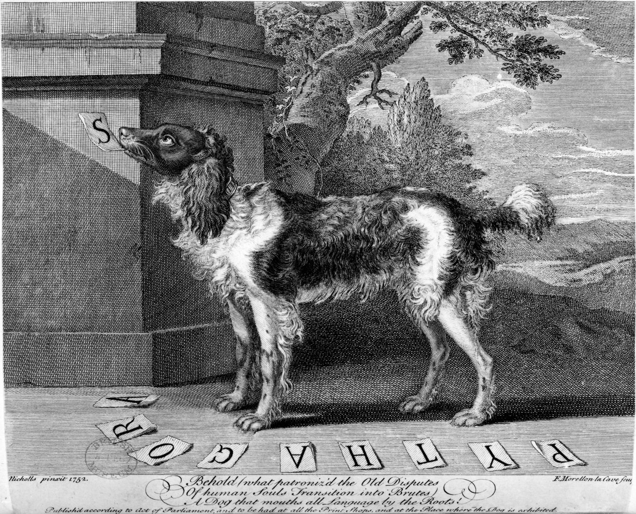 The New Chien Savant ، أو Learned Dog ، مطبوعة من تصميم إف موريلون لا كيف ، 1752 بواسطة ساتون نيكولز