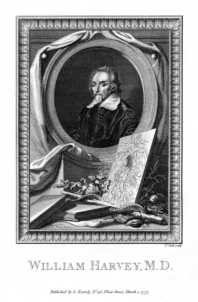 وليام هارفي ، طبيب ، 1777. بواسطة T. كوك