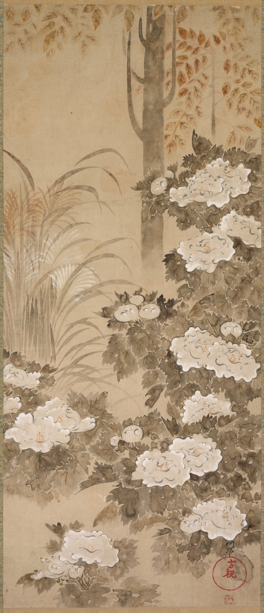 الفاونيا بواسطة Tatebayashi Kagei